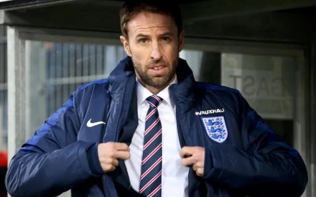 Gareth Southgate England manager