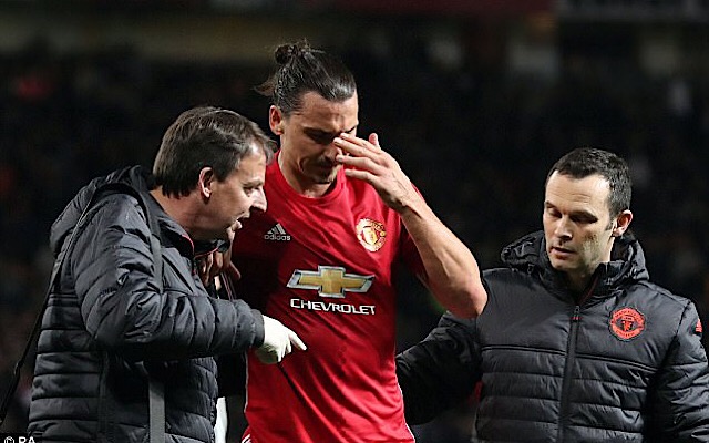 Ibrahimovic injury