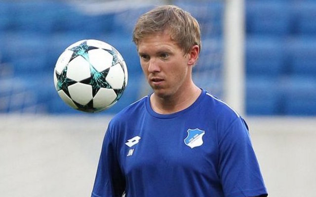 Julian Nagelsmann Hoffenheim