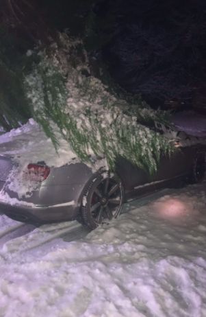 Michael Owen's crushed Bentley