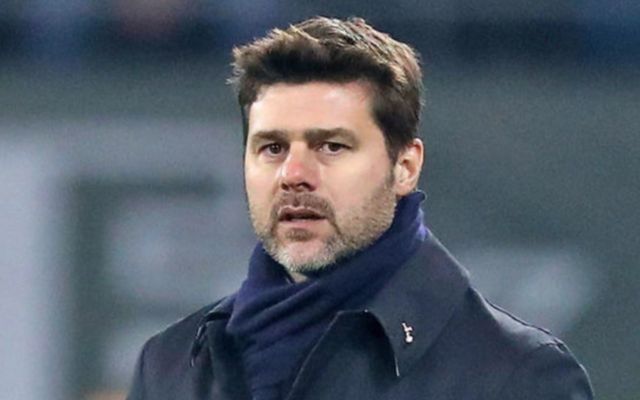 Spurs boss Mauricio pochettino