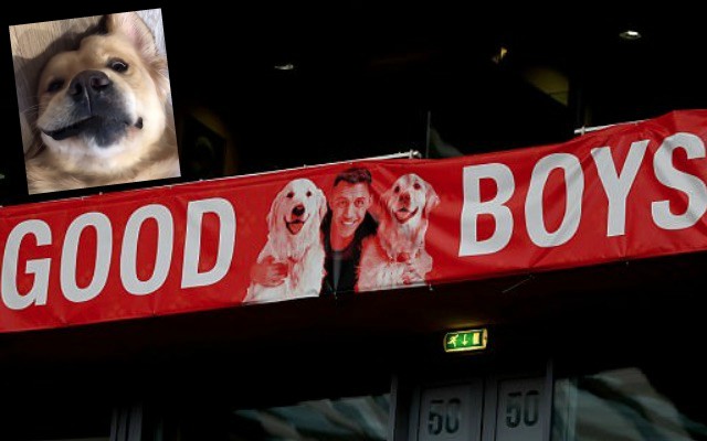 Good Boys Arsenal banner preview
