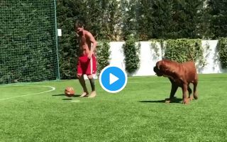 Video: Messi makes his dog look silly, Barcelona star skills