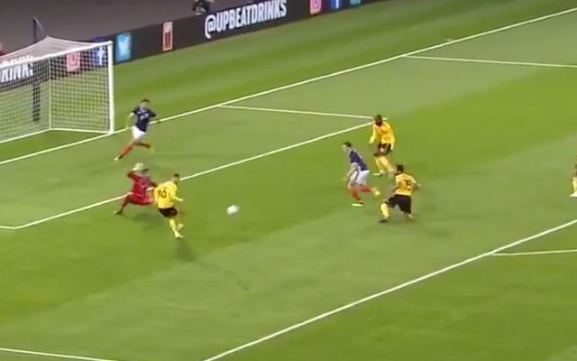 Lukaku goal Belgium Scotland