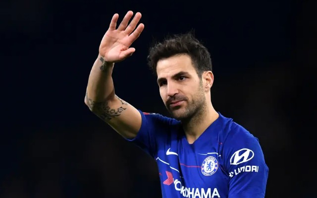 cesc fabregas