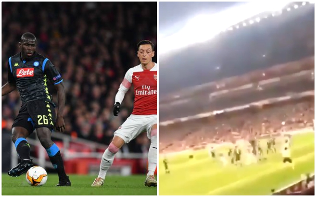Koulibaly-Arsenal-fan-racism