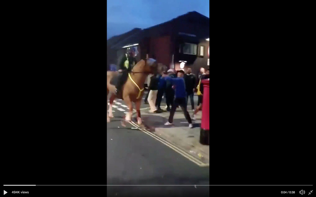 Video-Portsmouth-fan-punches-horse
