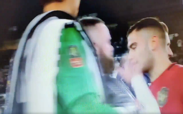 Video-Rooney-slaps-Pereira