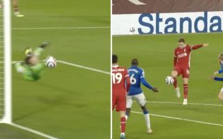 Image result for pickford save vs liverpool