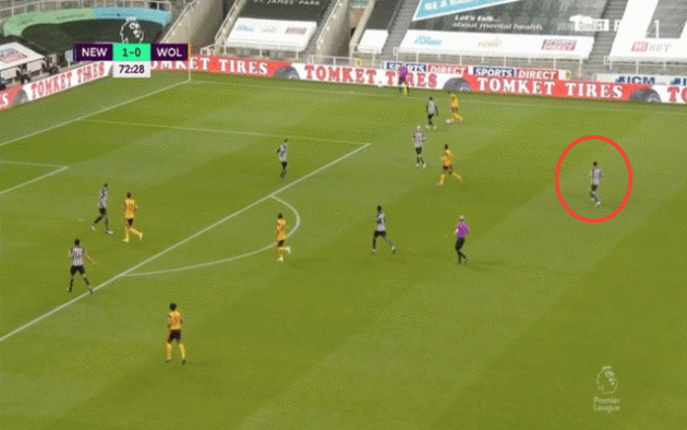 Video - Newcastle concede vs Wolves after Murphy fails to get RWB instructions