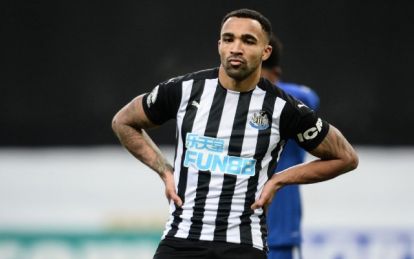 callum wilson newcastle united