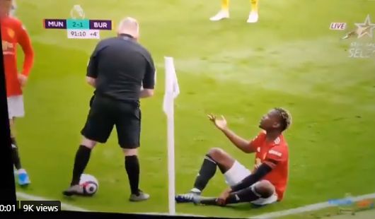 pogba and ref