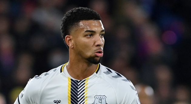 Mason Holgate of Everton is being targeted by Newcastle United