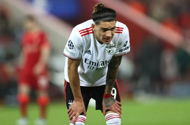 darwin nunez benfica