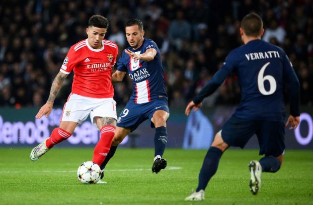 Enzo Fernandez Benfica PSG