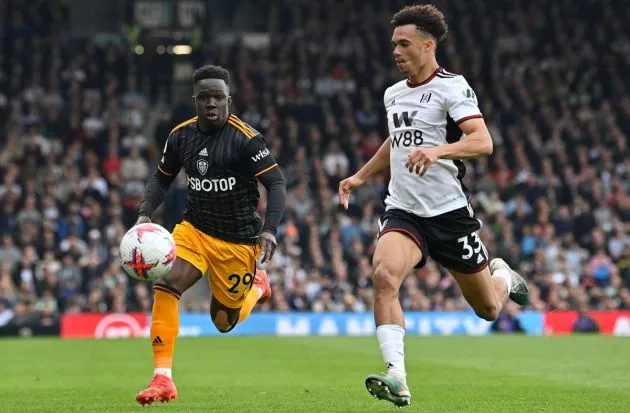 gnonto leeds fulham