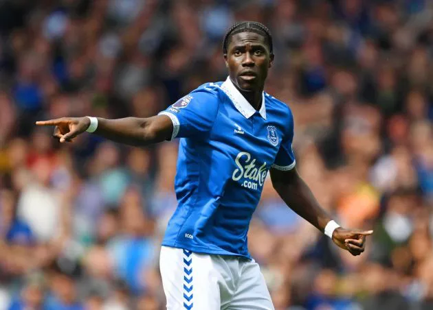 onana everton fulham