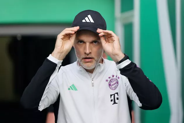 Tuchel, Palhinha