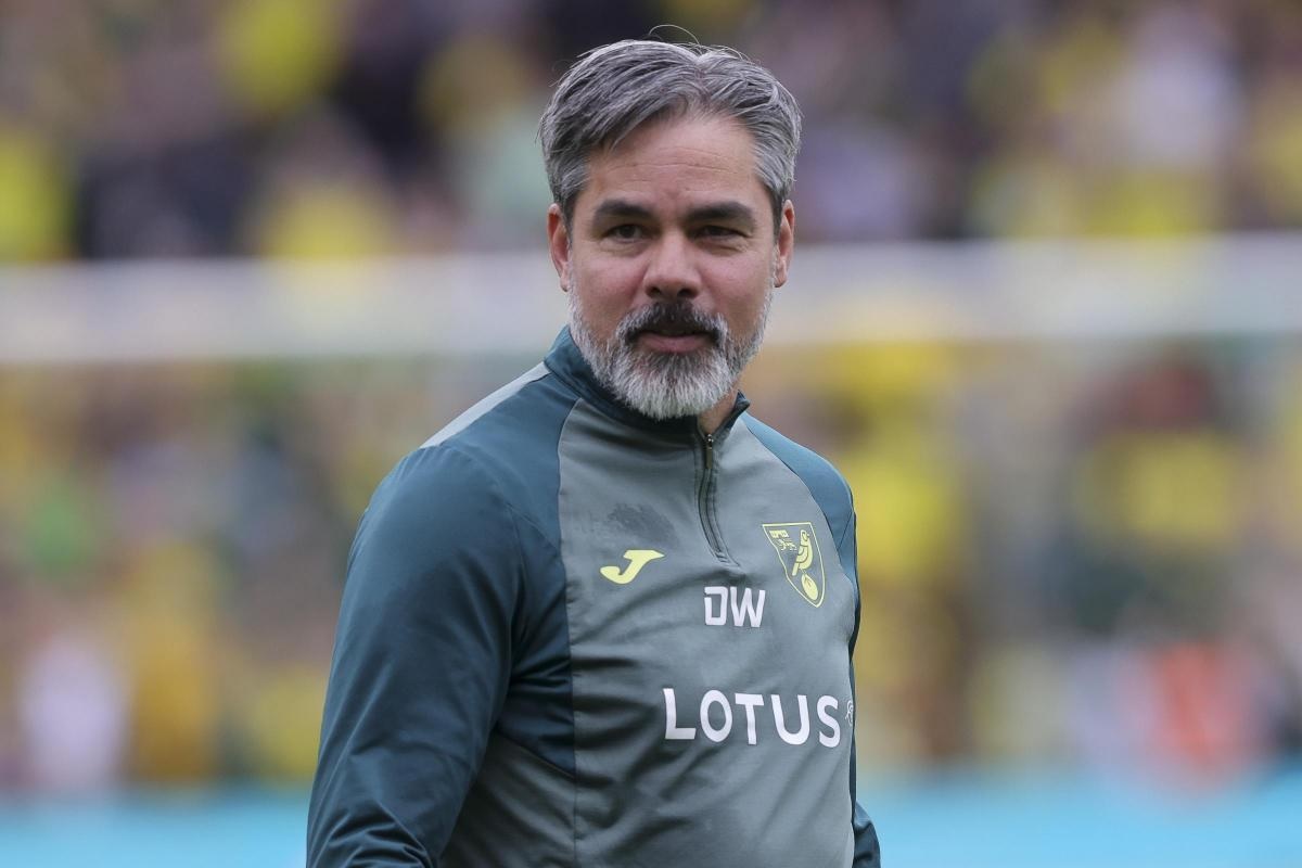 Norwich City sack manager David Wagner after play-off defeat against Leeds