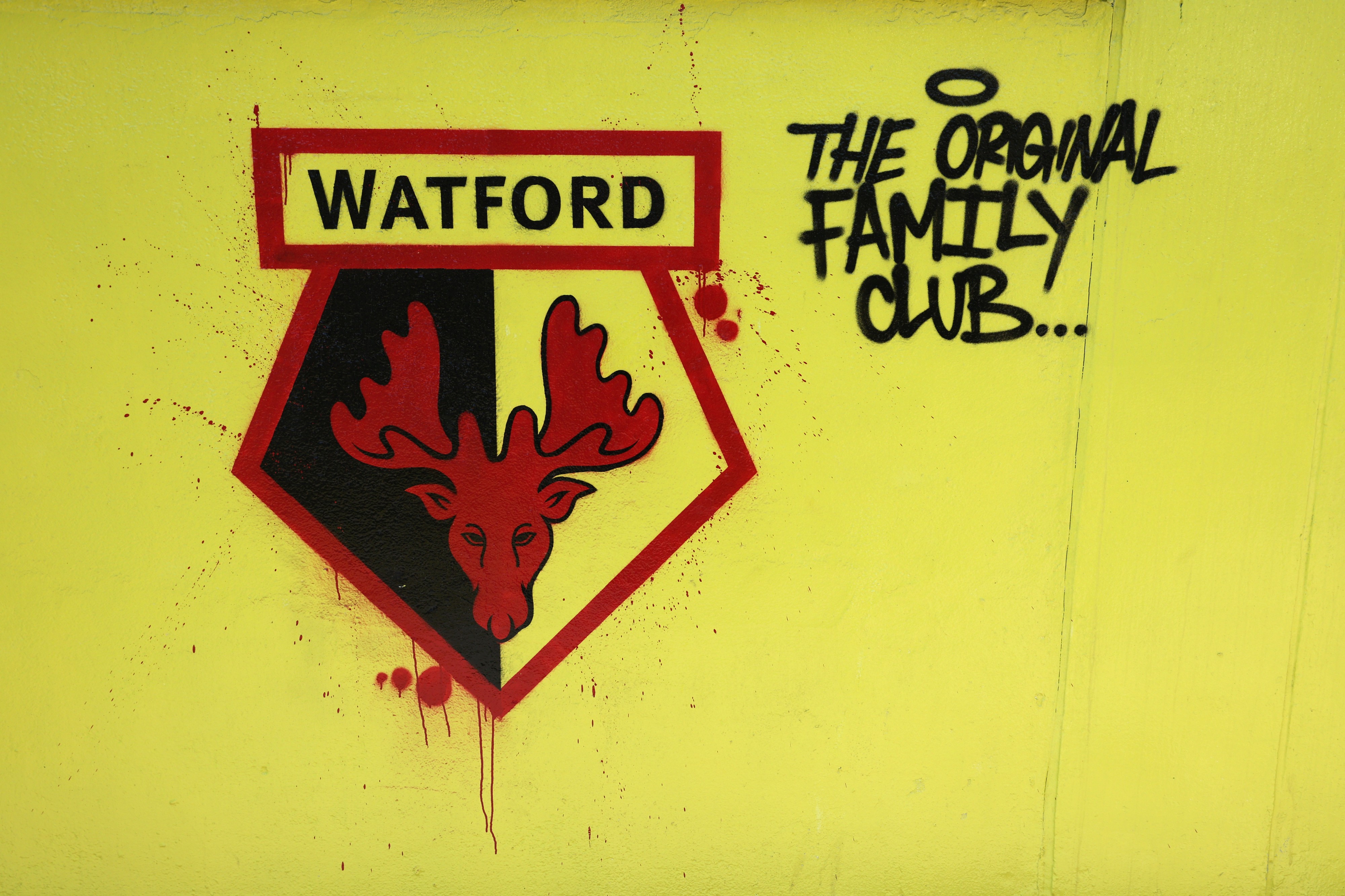 Watford are seeking more investment