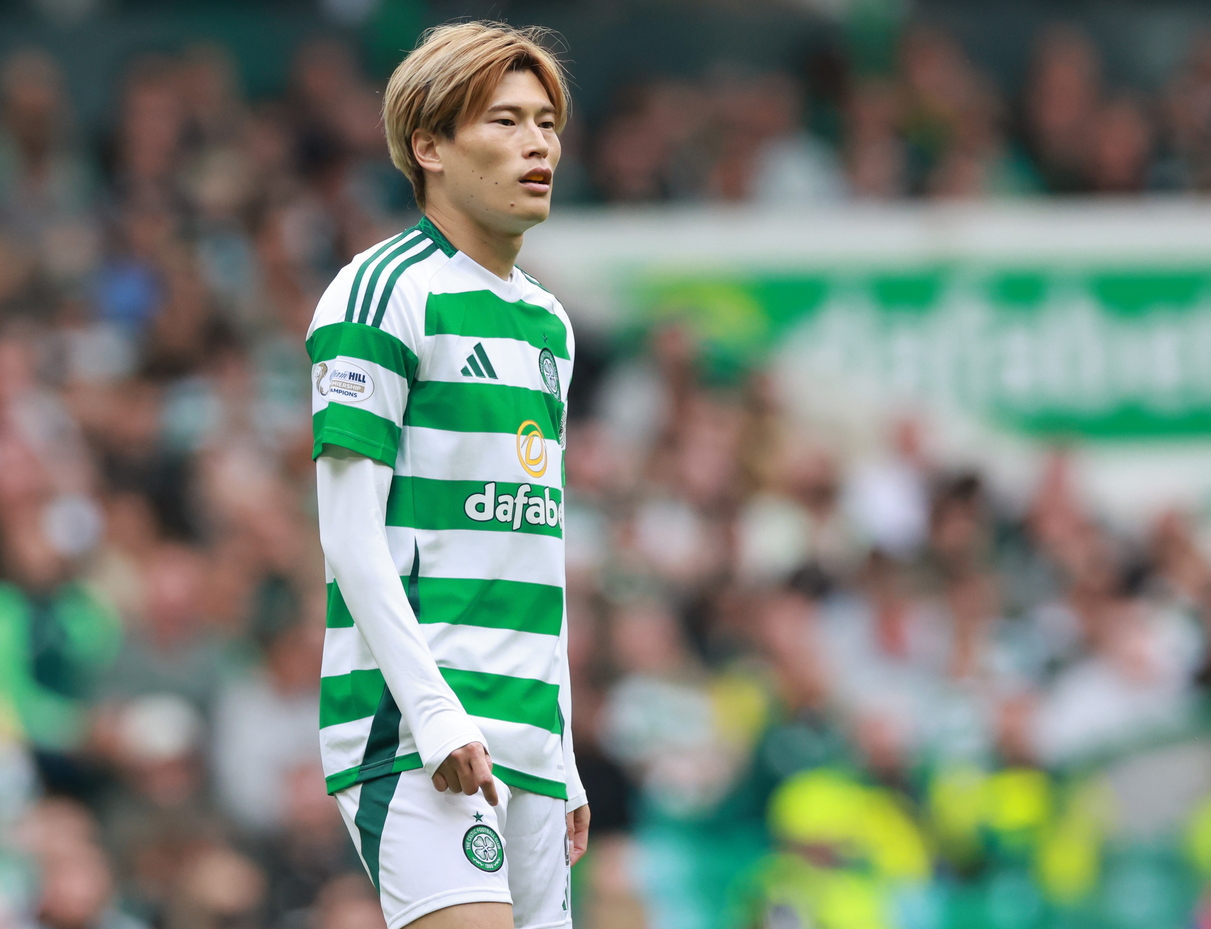 Man City want Kyogo Furuhashi to replace Julian Alvarez (Photo by Steve Welsh/Getty Images)