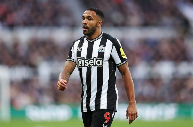 Paul Mitchell wants Jonathan David to replace Callum Wilson at Newcastle.