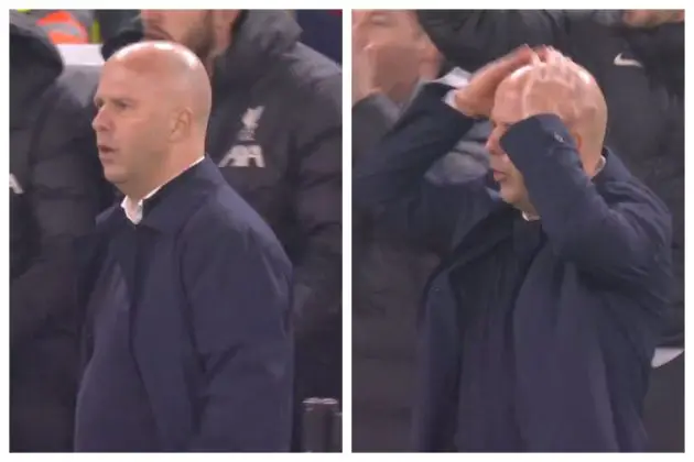 Arne Slot's touchline reaction to Luis Diaz's goal against Bayer Leverkusen.