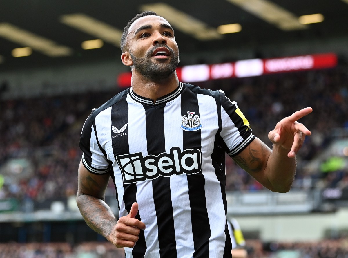 Callum Wilson celebrates a goal for Newcastle