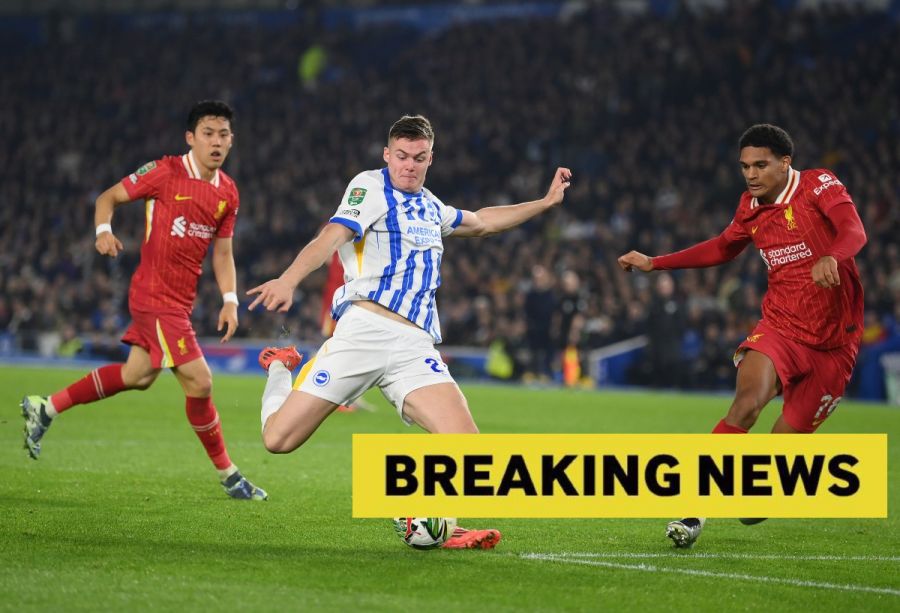 brighton-liverpool-evan-ferguson-900x613