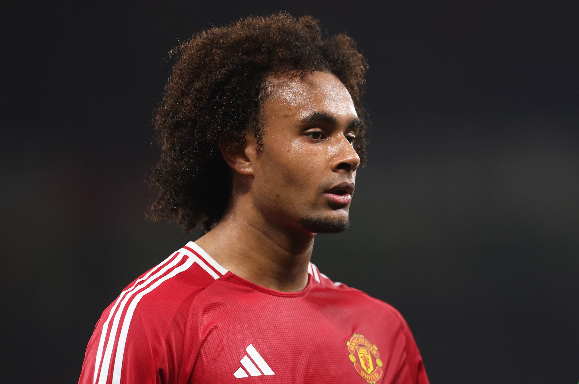 Joshua Zirkzee could be offloaded by Man United