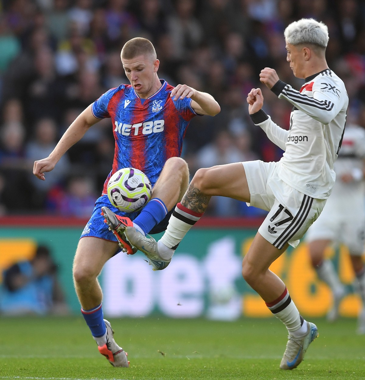 Adam Wharton in action for Crystal Palace against Man United