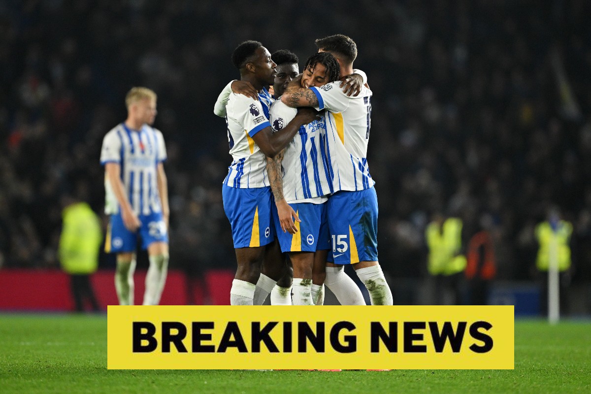 Jakub Moder and his Brighton teammates celebrate