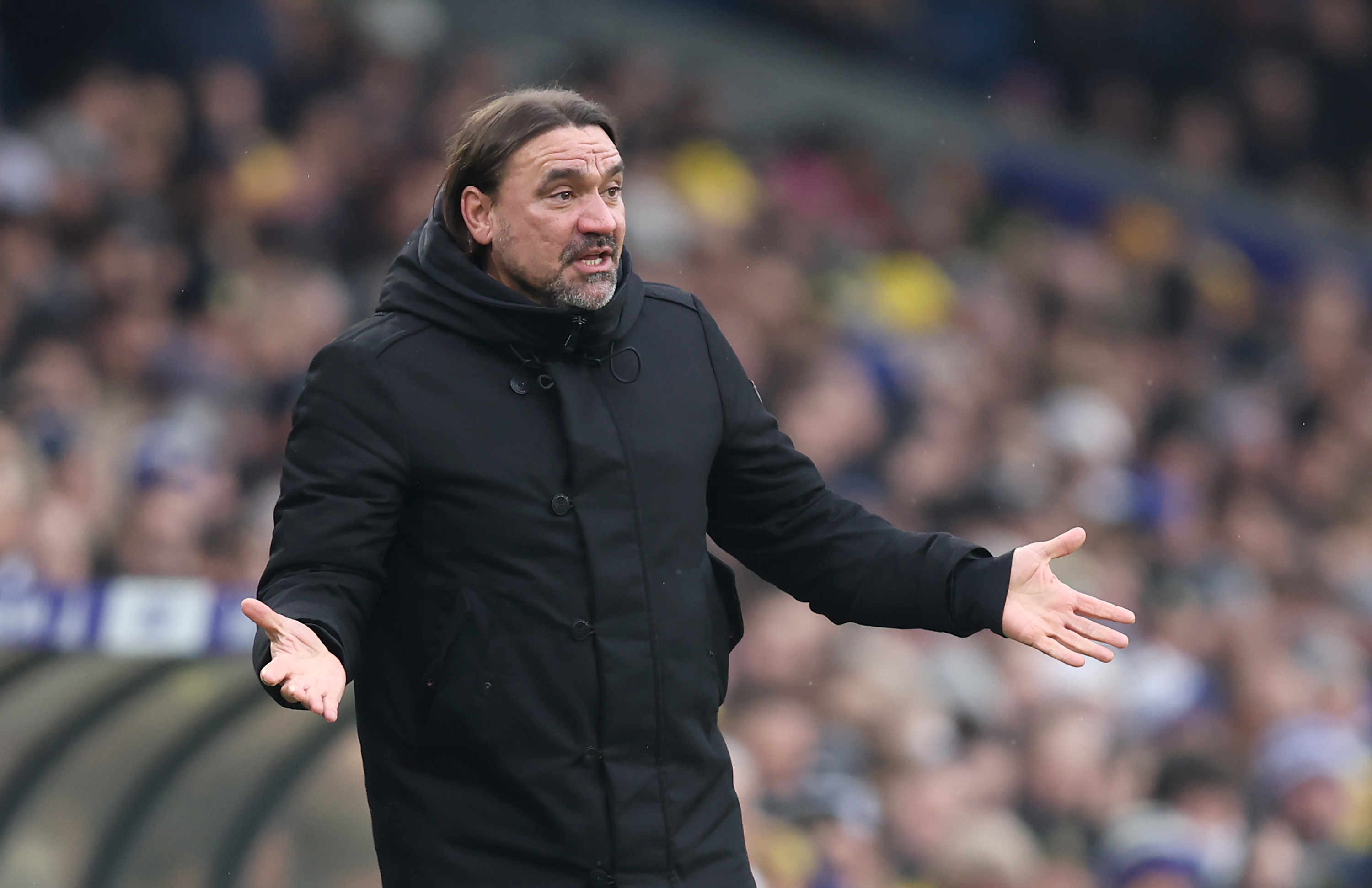 Daniel Farke, Manager of Leeds United, reacts during a game