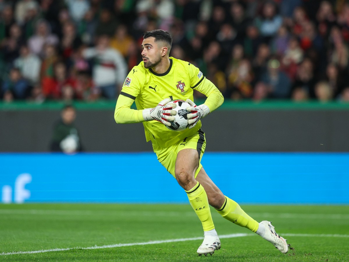 Diogo Costa in action for Portugal