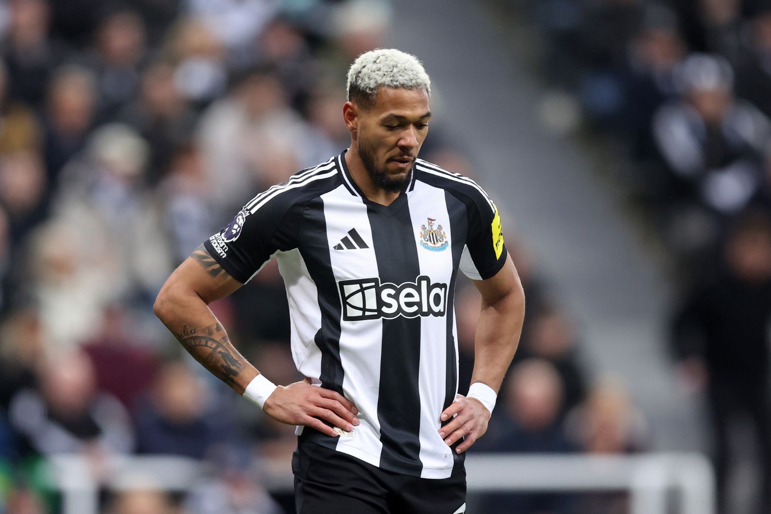 Joelinton playing to Newcastle United