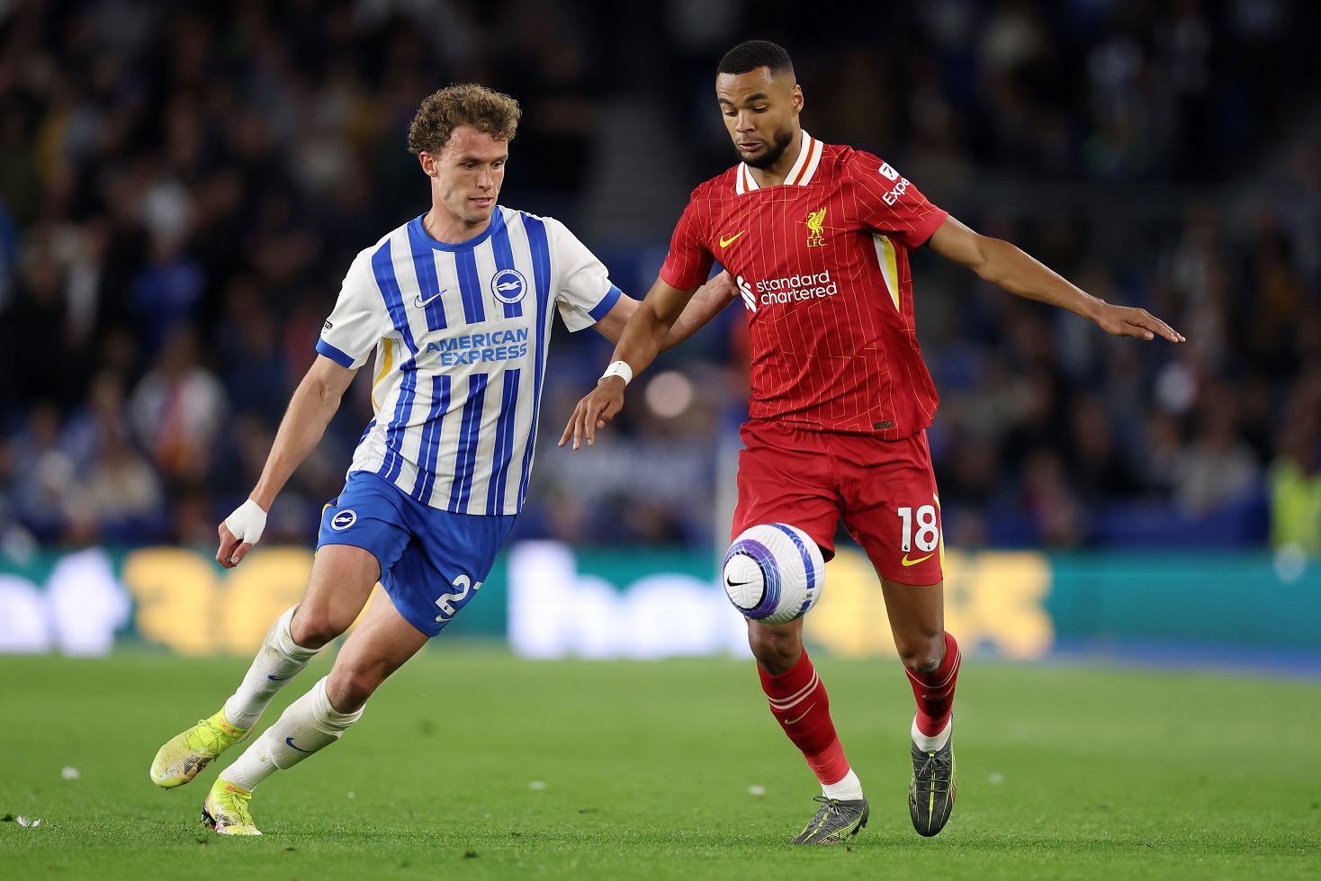 Cody Gakpo in action for Liverpool
