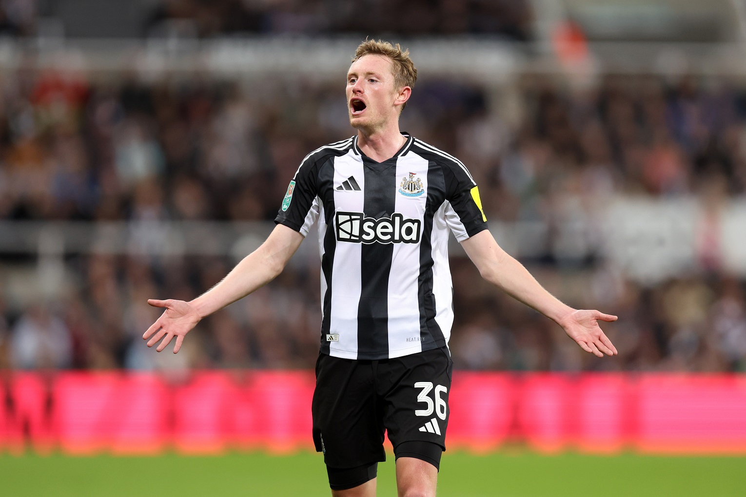 Sean Longstaff in action for Newcastle United