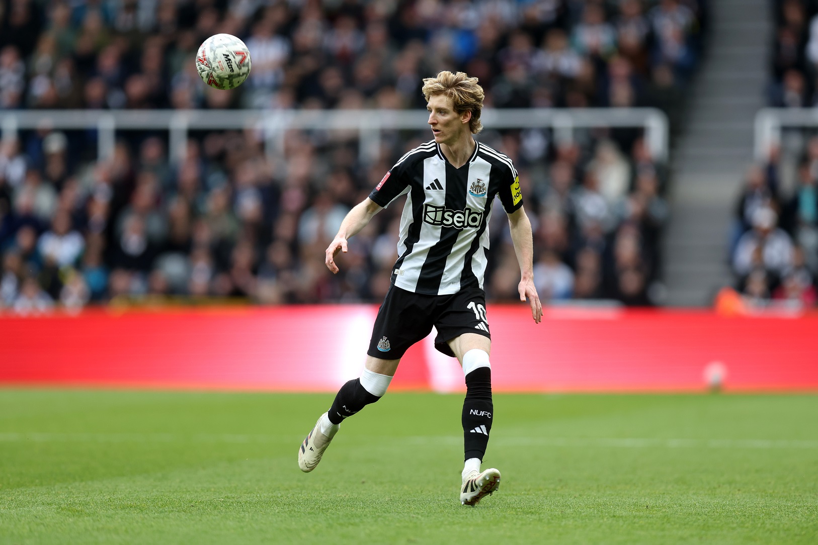 Anthony Gordon of Newcastle United  