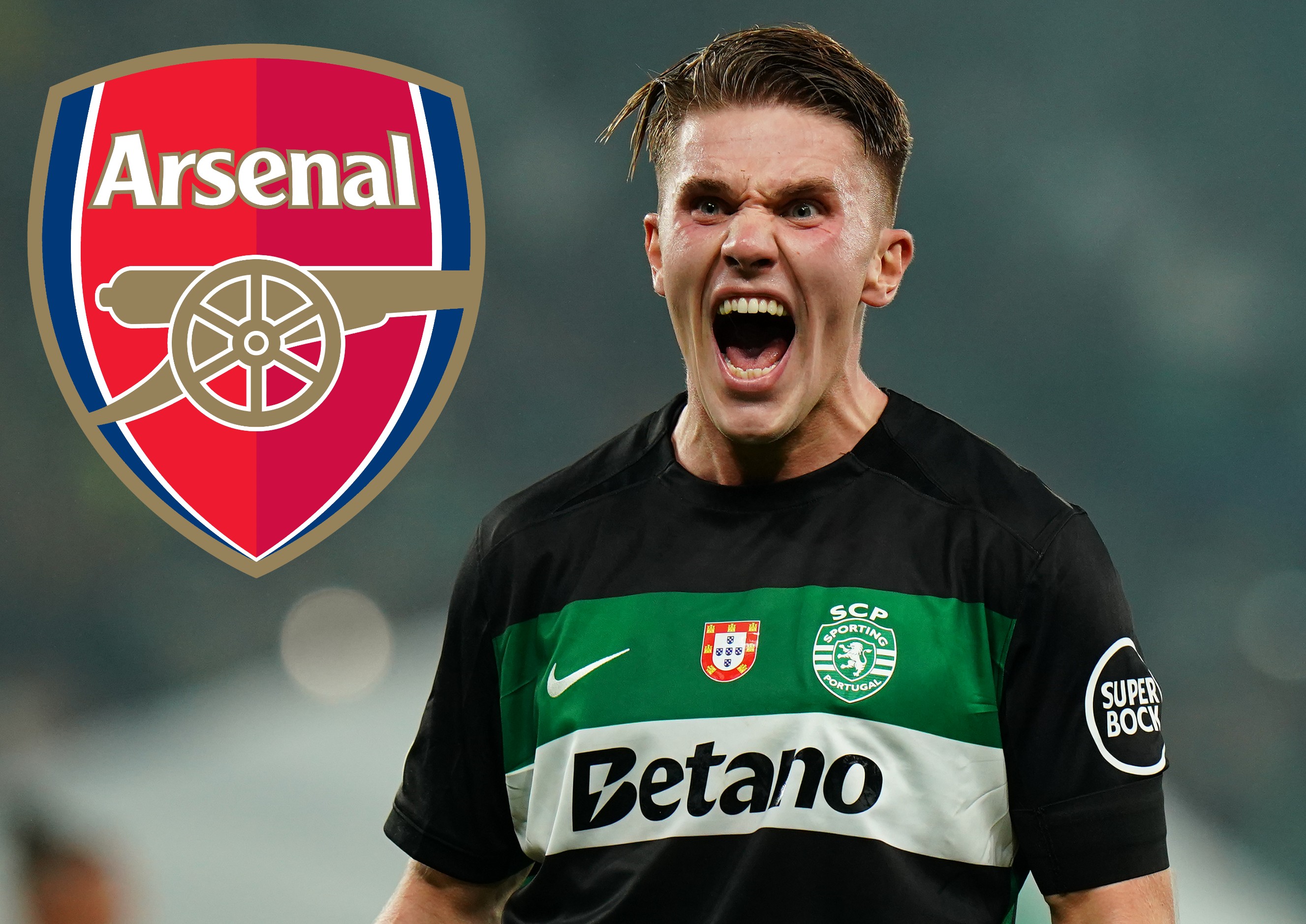 Victor Gyokeres Sporting Lisbon, plus Arsenal fc marks a goal for fc badge