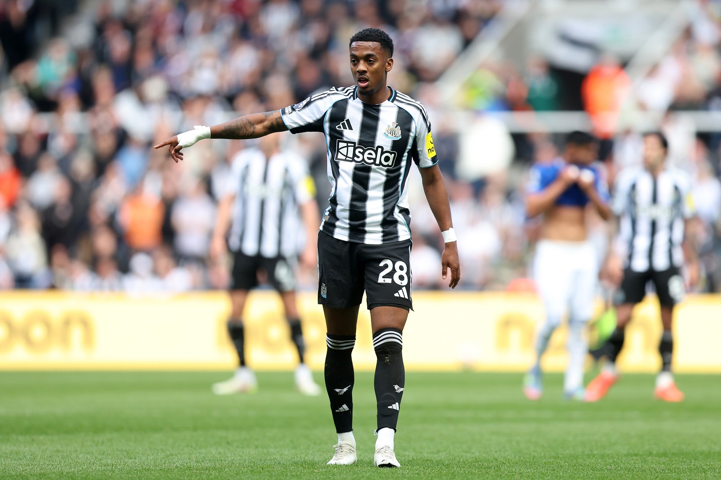 Joe Willock of Newcastle United