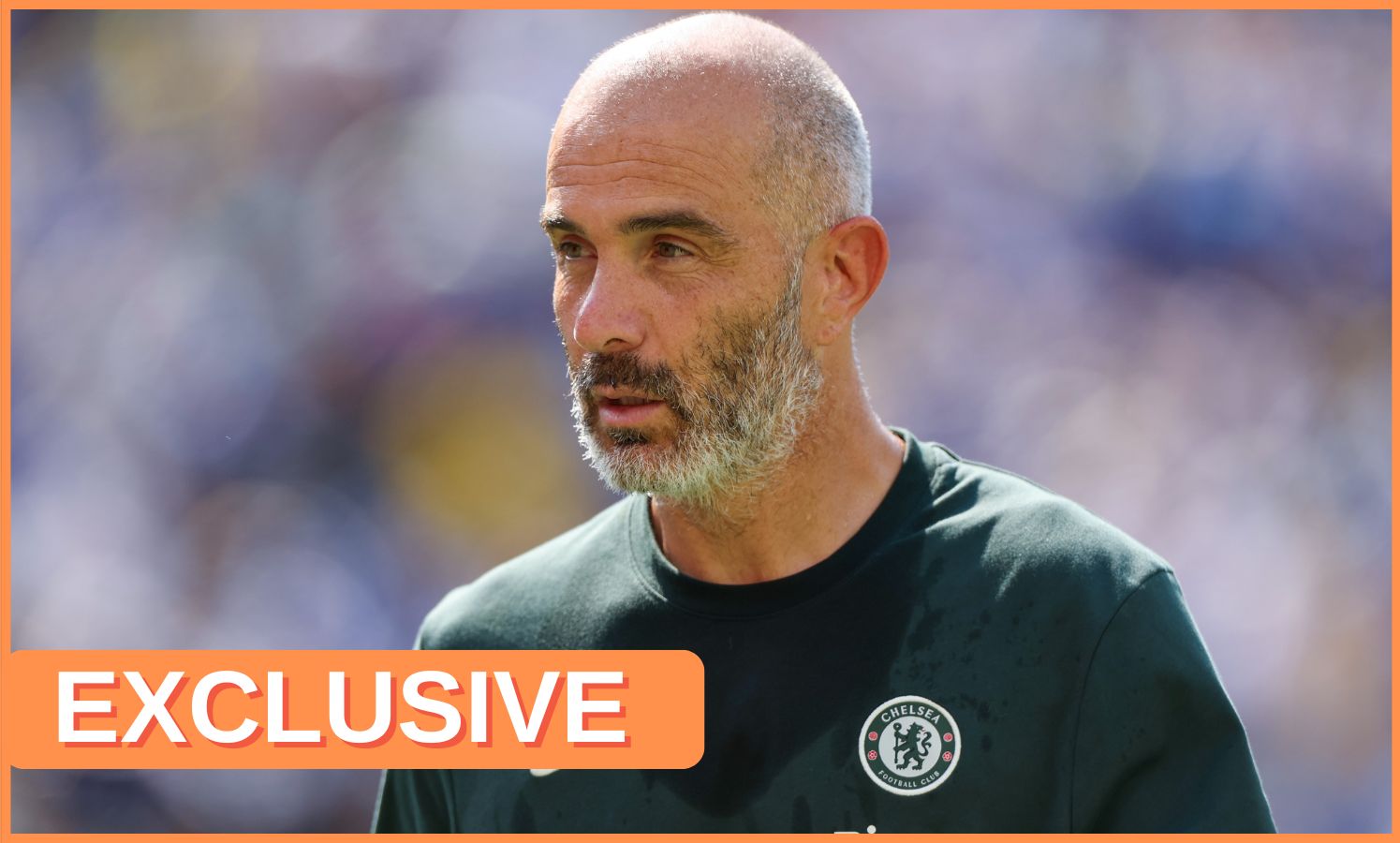 Chelsea director Enzo Marisca