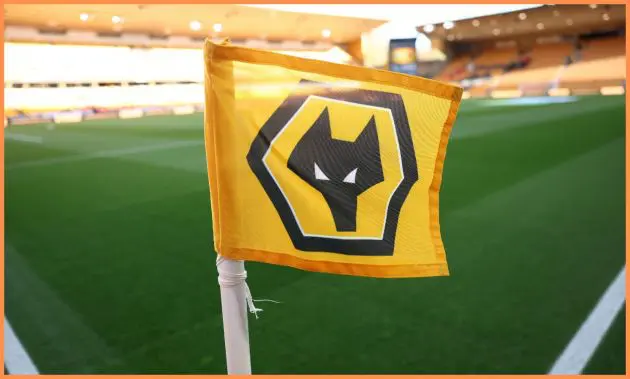 Wolves flag