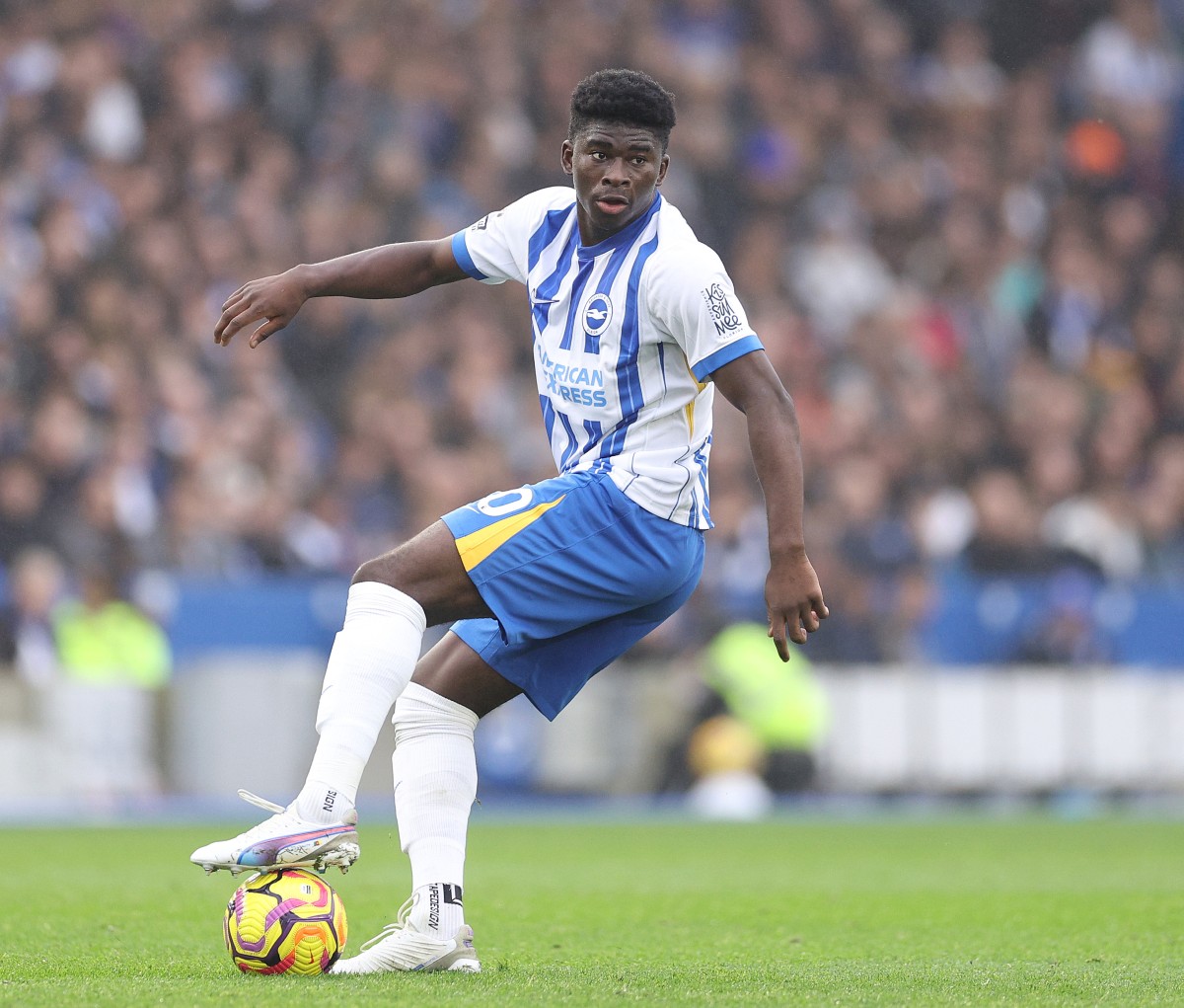 Carlos Baleba in action for Brighton against Wolves