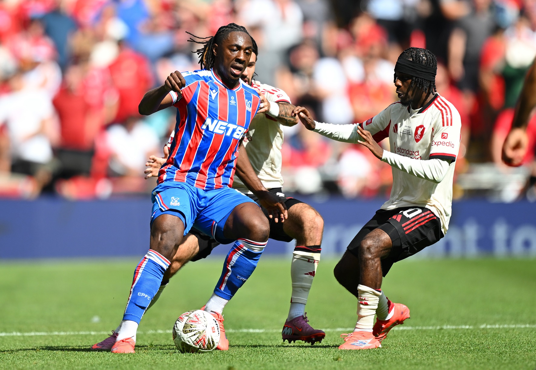 King of Crystal Palace 