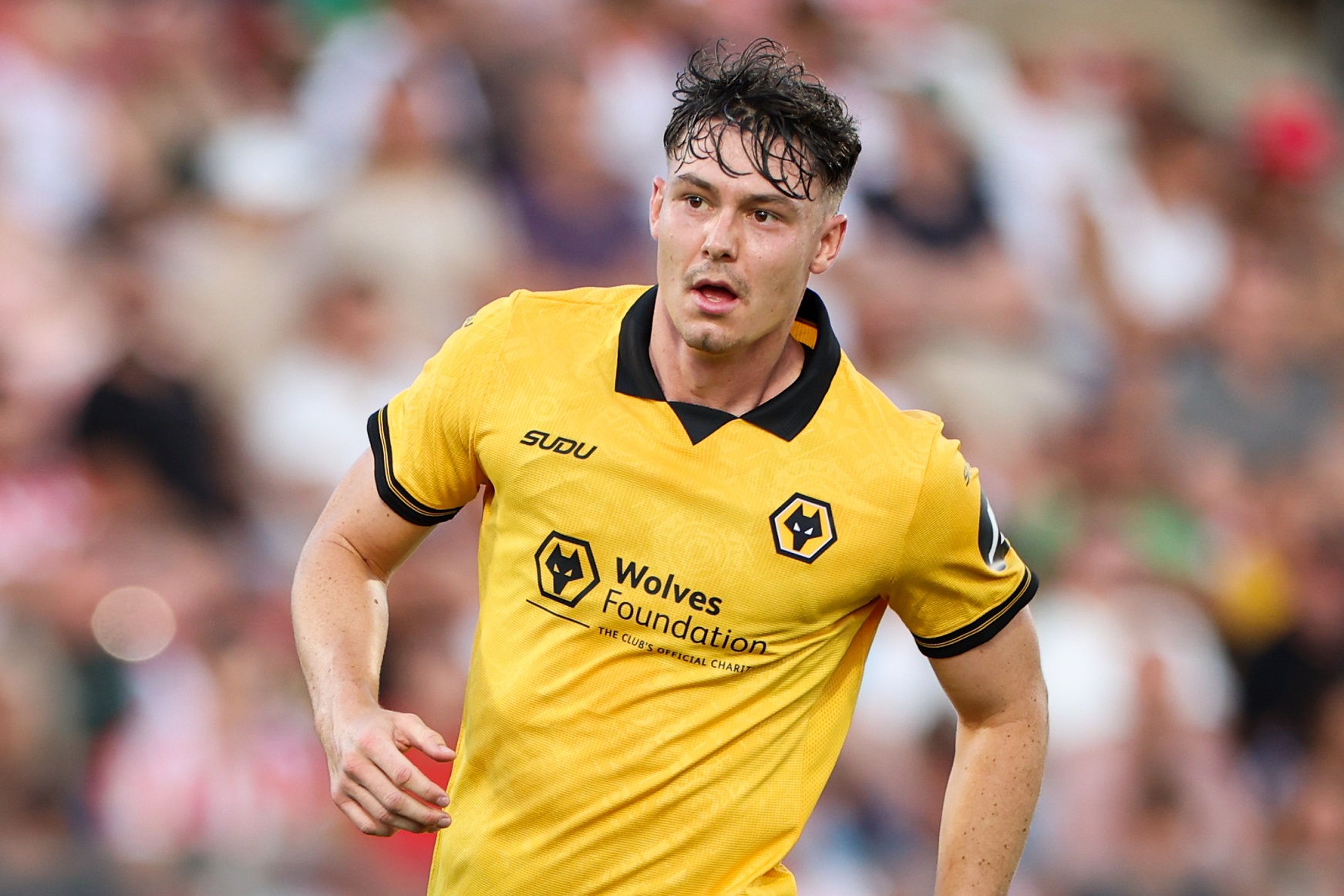 Jorgen Strand Larsen of Wolverhampton Wanderers