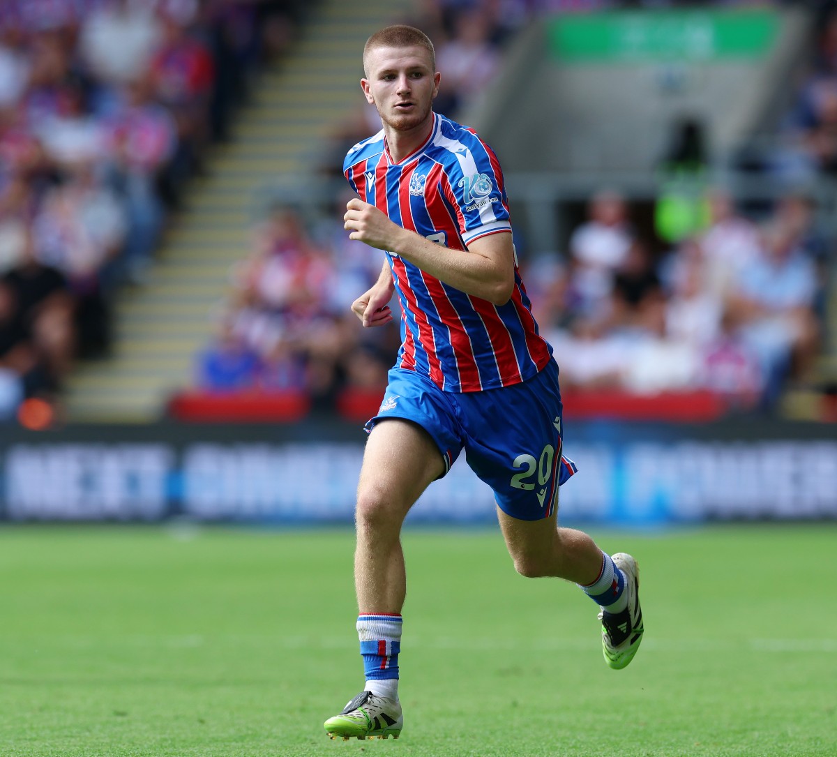 Adam Wharton in action for Crystal Palace