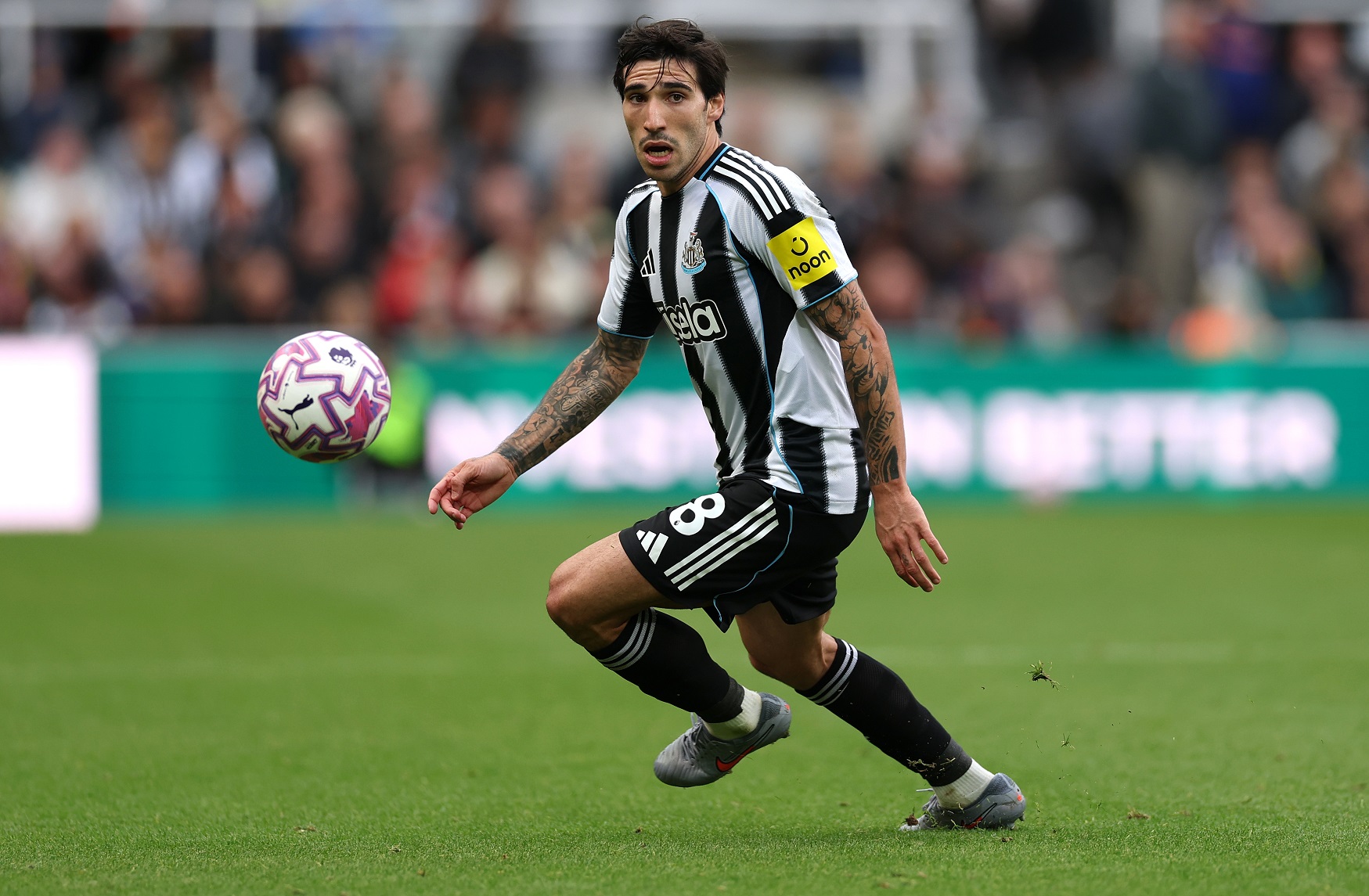 Sandro Tonali of Newcastle United in action 