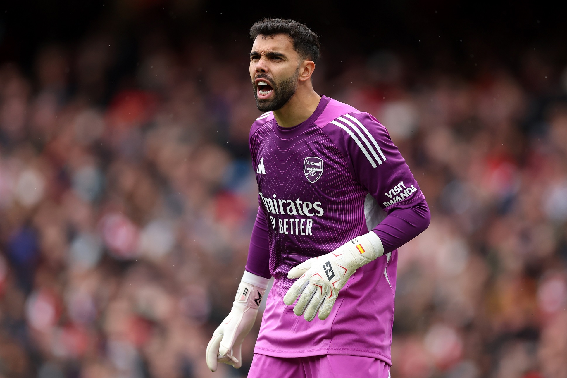 Arsenal goalkeeper David Raya