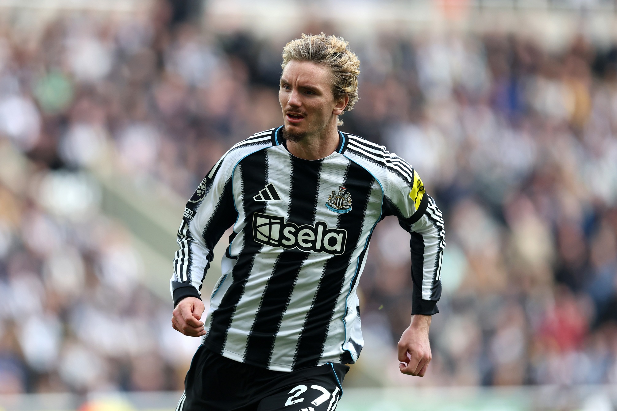 Nick Woltemade during the Premier League match between Newcastle and Nottingham Forest