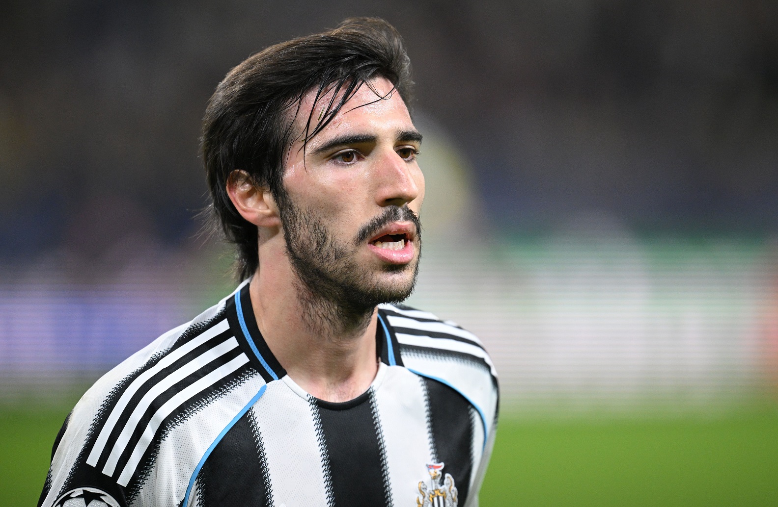 Sandro Tonali of Newcastle United